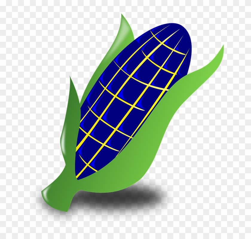 Blue Corn Clipart #23766