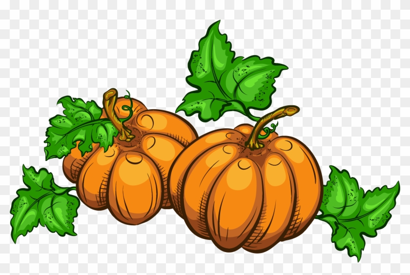 Thanksgiving Clip Art Pumpkins - Pumpkins Clip Art Transparent #23887