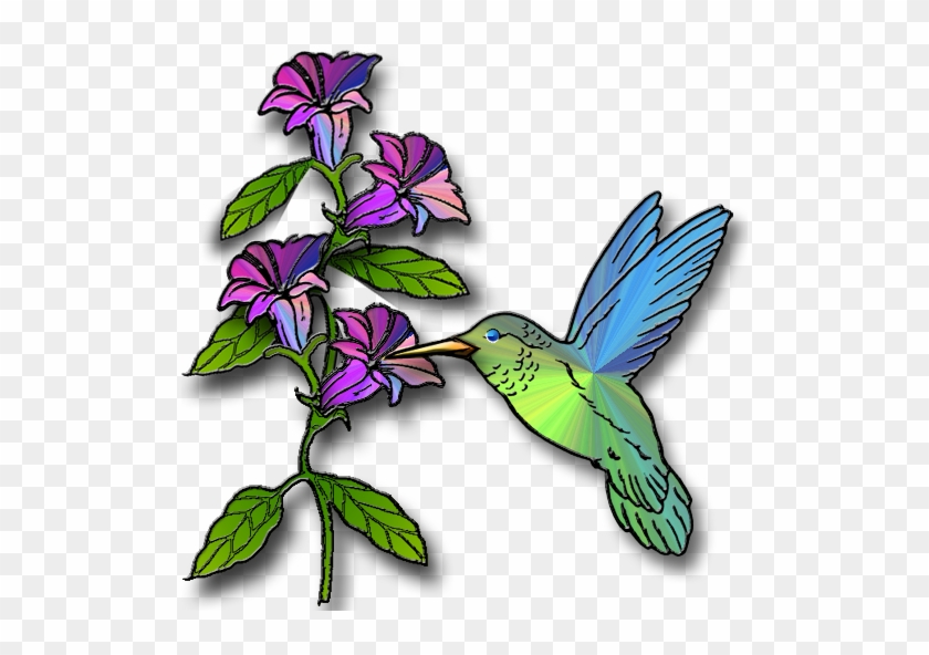 Cease-fire - Clipart - Free Hummingbird Clip Art #24624