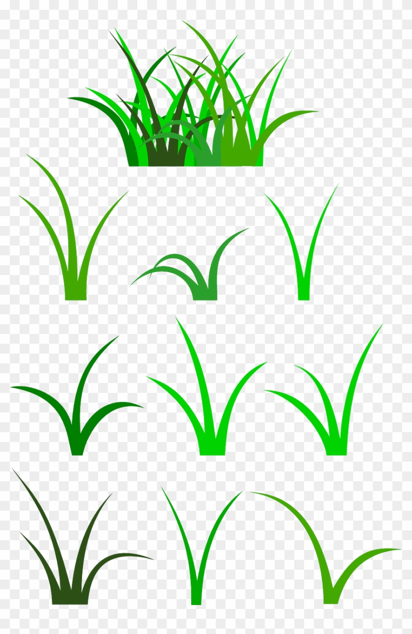 Medium Image - Blade Of Grass Clip Art #24919