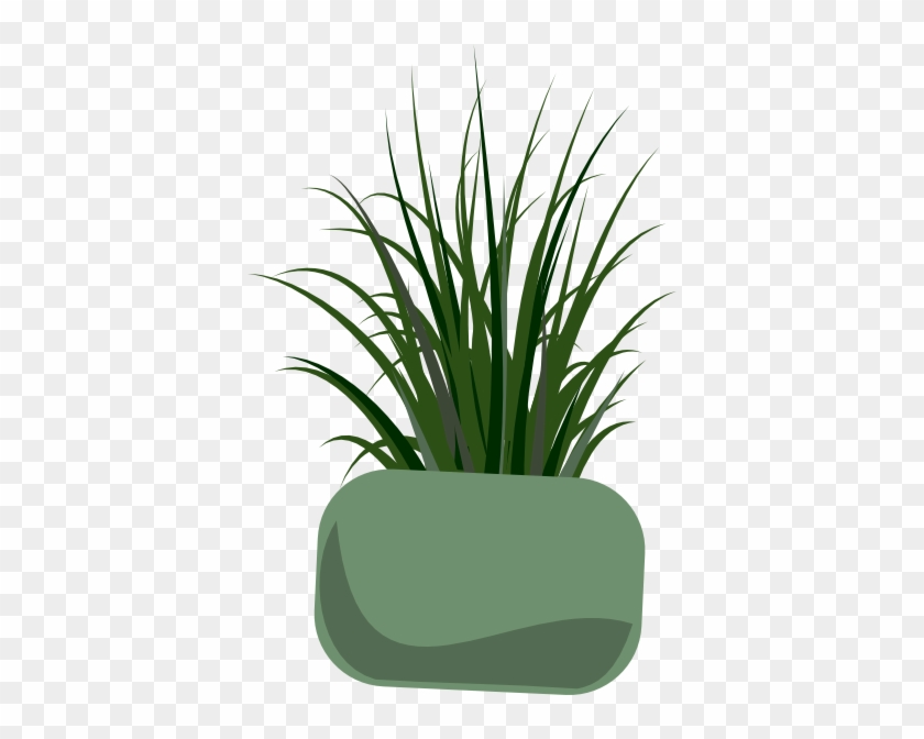 Grass Plant Clip Art #24979