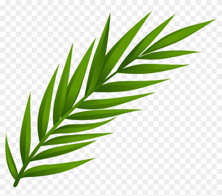 Leaf Png Clip Art - Leaf Png Clip Art #25117