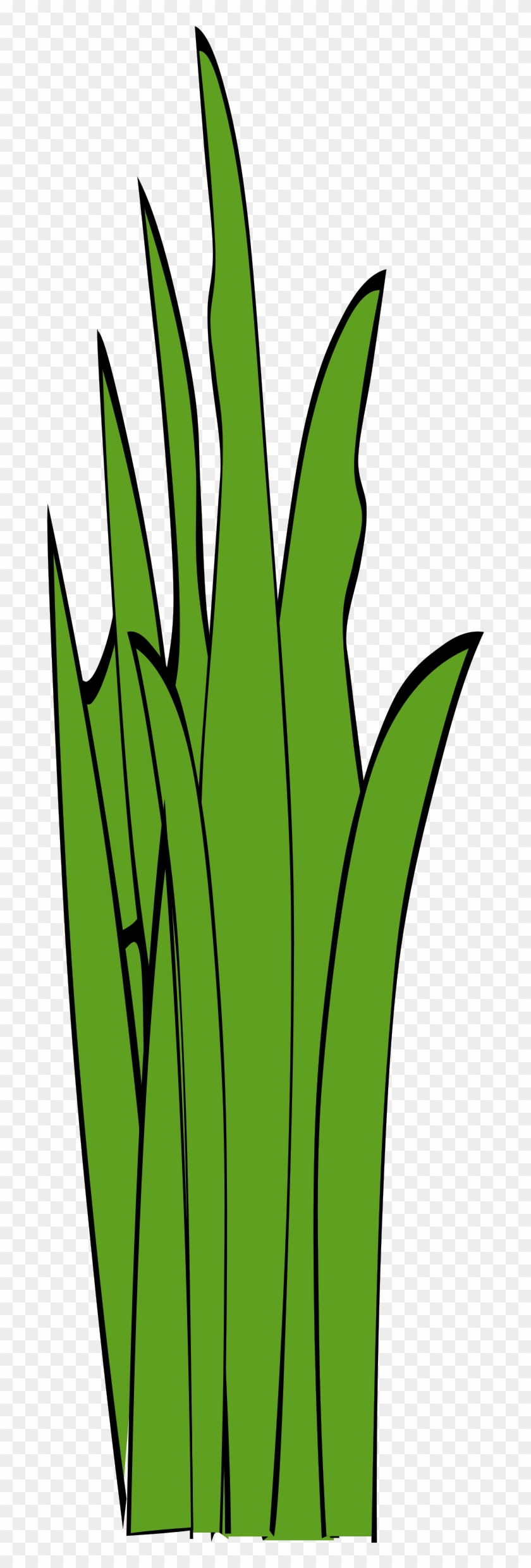 Big Image - Blade Of Grass Clip Art #25119