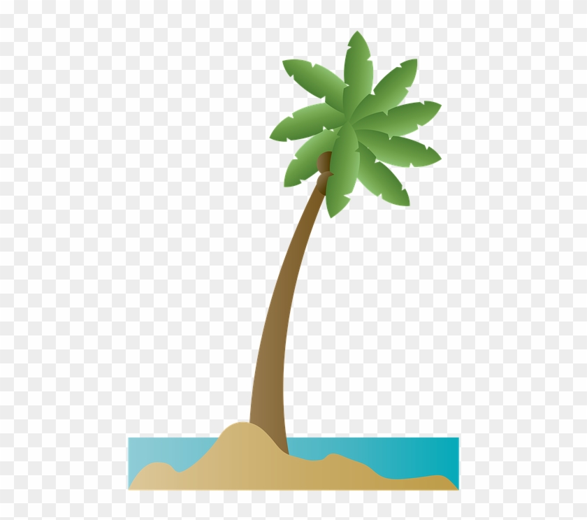 Palm Tree Palm Coconut Beach Summer Ocean Sea - Playa Ilustracion Png #25167