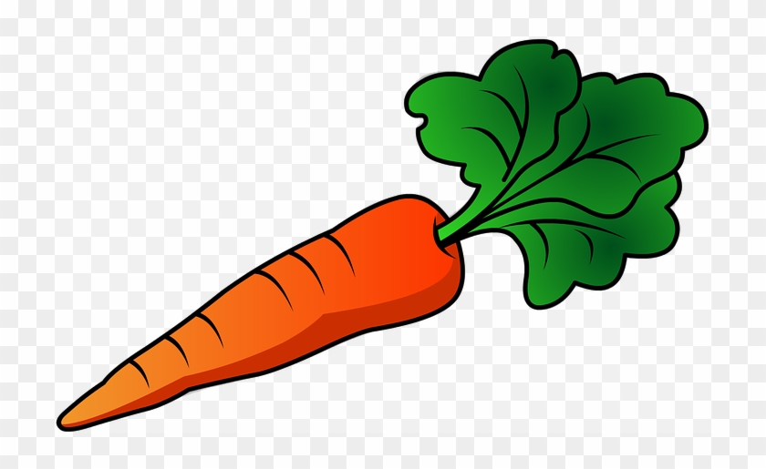 Valuable Ideas Carrot Clipart 14197 Images Pixabay - Carrot #25173