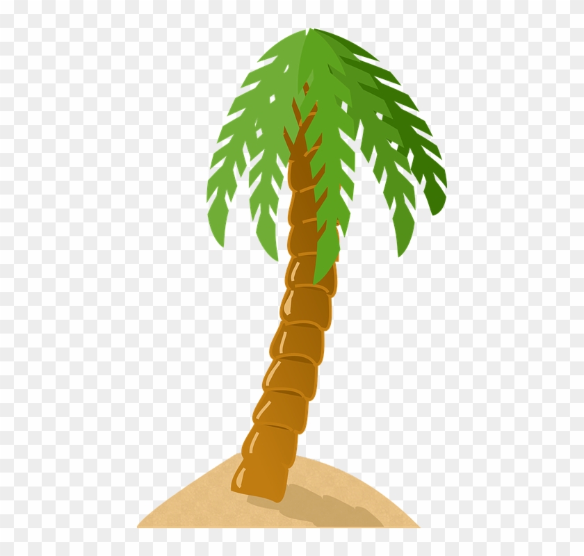 Palm Tree Exotic Tropical Island Green Sand Beach - Palm Tree Clip Art #25179