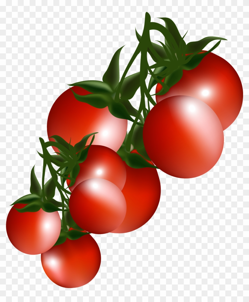 Tomatoes Clip Art - Clipart Tomatoes #25191