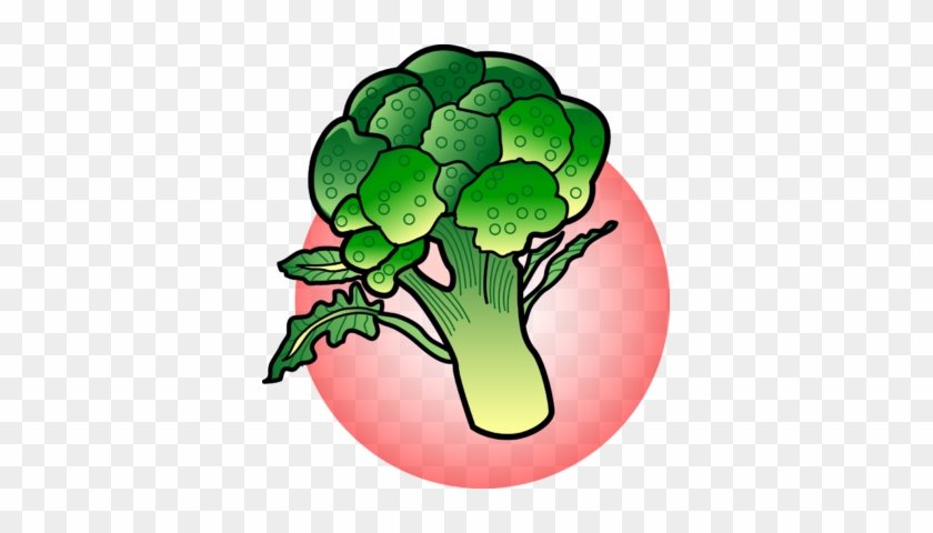 Broccoli - Broccoli Clipart #25202