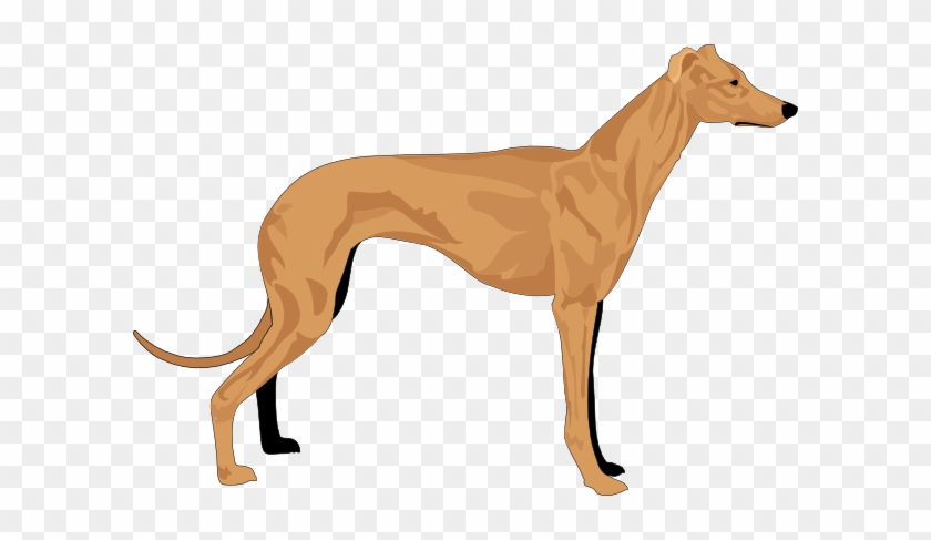 Grey Hound Clip Art - Hound Clipart #25293