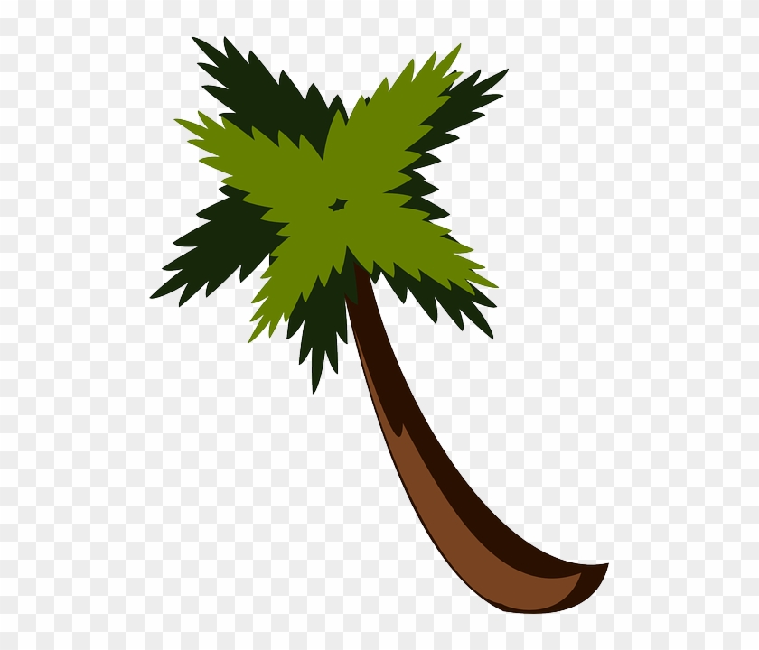 Vacation Palm Tree, Beach, Jungle, Palm, Leaves, Vacation - Hojas De Sleva Png #25317