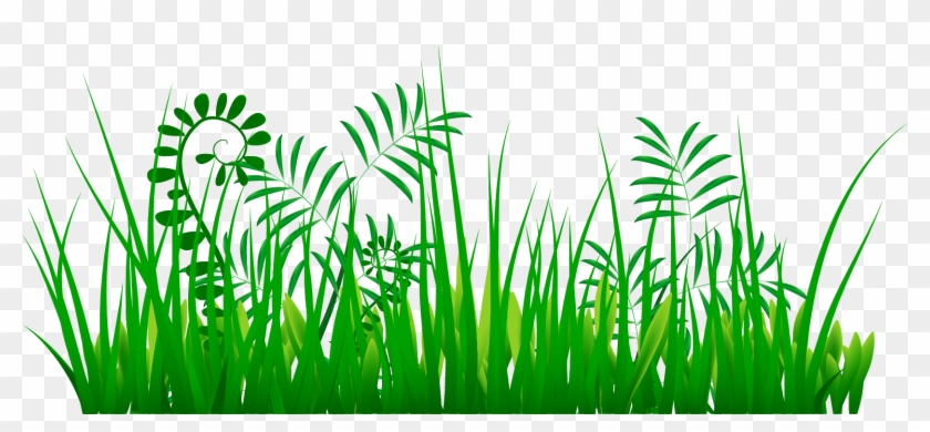 Grass Clipart Png Image 08 - Grass #25321