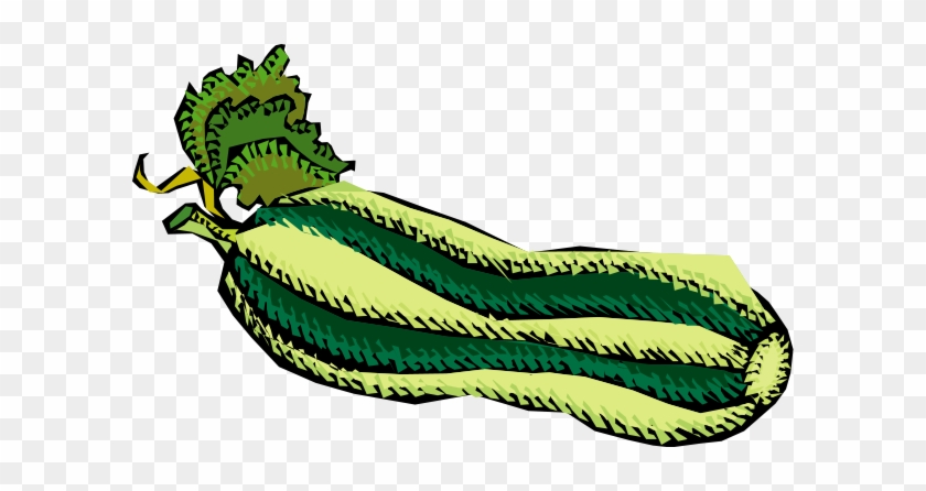 Vegetables 51 Png Images - Zucchini Coloring Page #25324