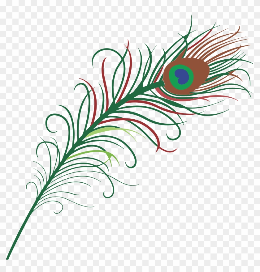 Peacock Clipart - Transparent Background Peacock Feather #25386