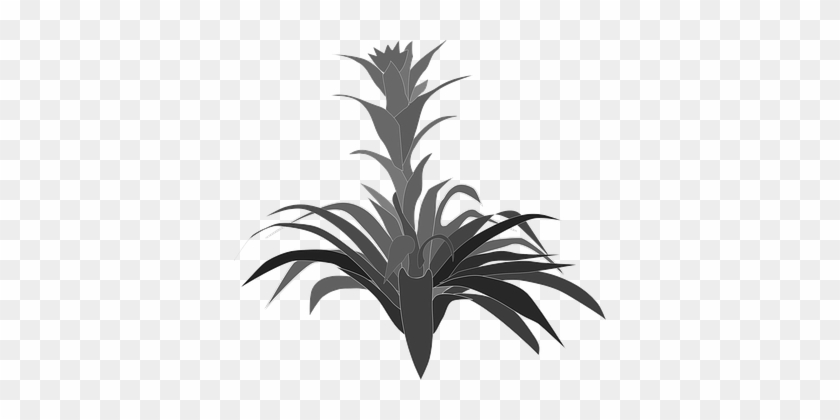 Clip Art, Flor, Flora, Flower, Nature - Clip Art #25392