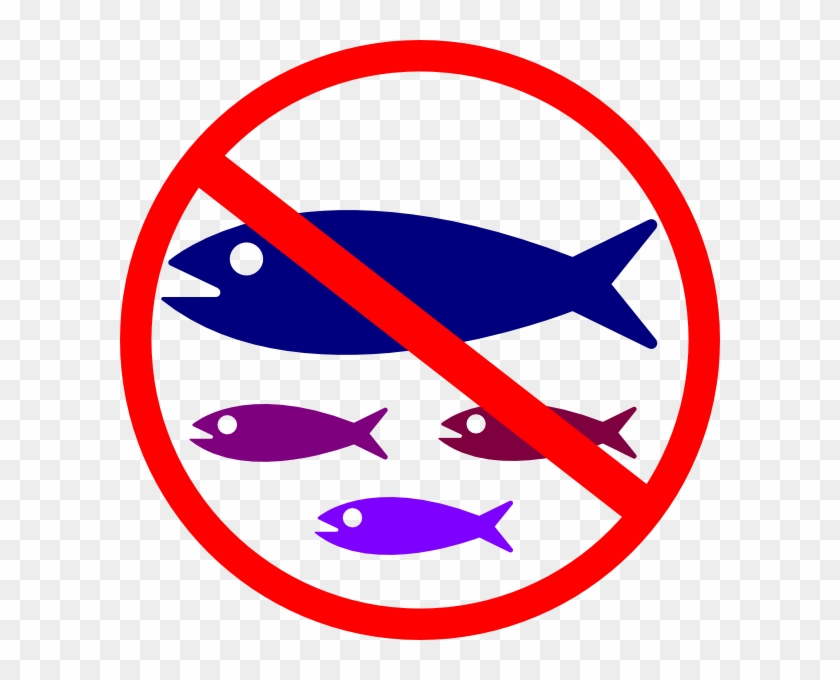 No Fish #25408