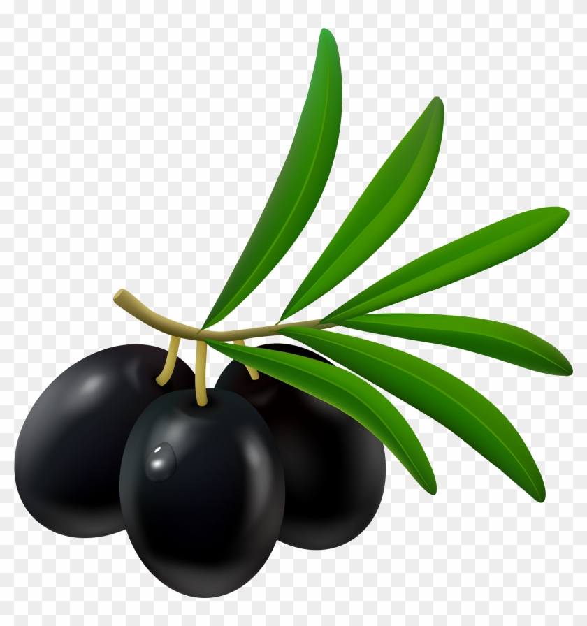 Black Olive Png Clipart - Olives Clipart #25613