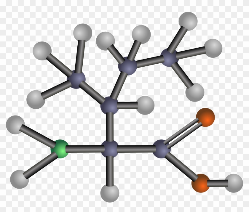 Free Clip Art - Amino Acids: Biochemistry And Applications #25602