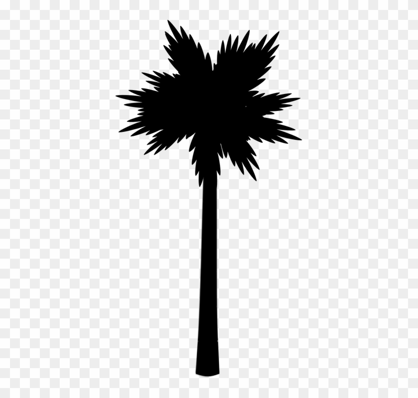 Palm Beach Tropic Silhouette Black - Palm Tree Clip Art #25801