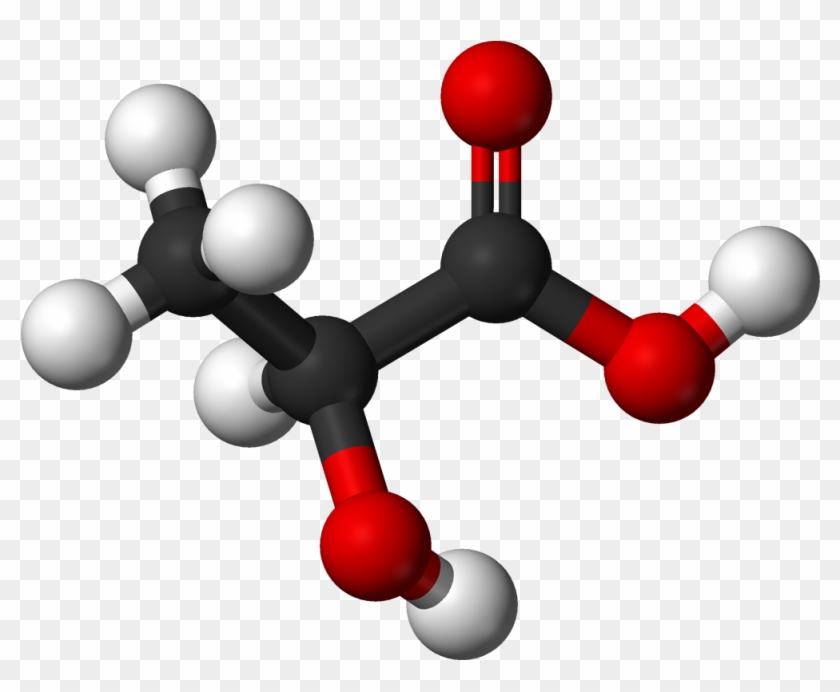 File - Lactic Ac - Lactose Ball And Stick Model #26010