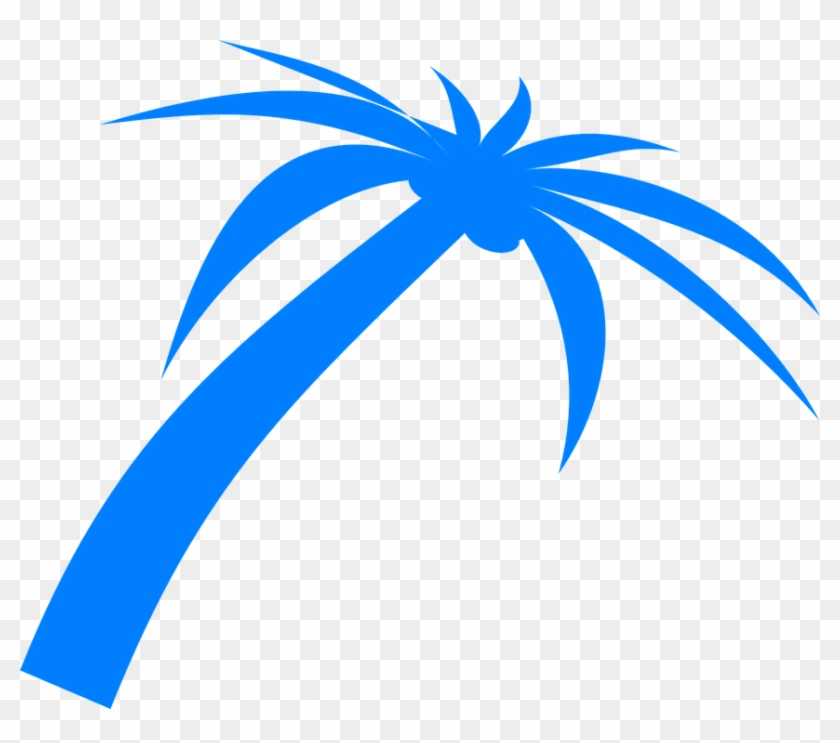 Palm Tree Fronds Tropical Nature Beach Plant - Blue Palm Tree Png #26253