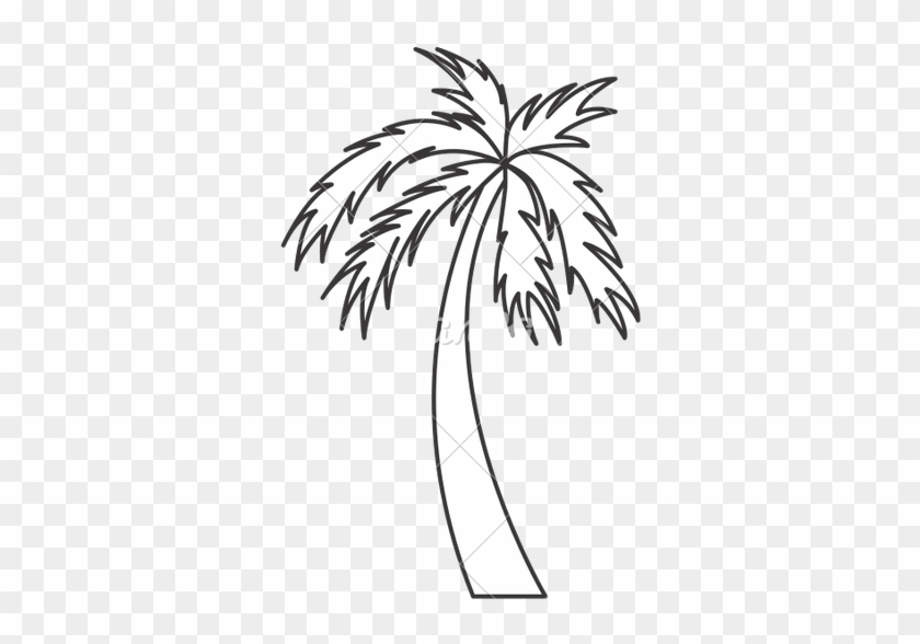 Black And White Palm Tree Travel Beach Icon - Black And White Palm Tree #26291