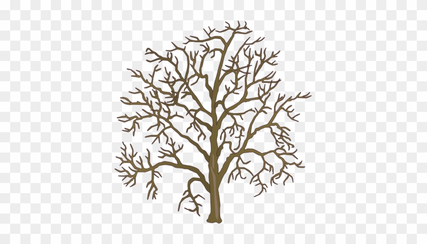 Drawn Dead Tree Dead Plant - Family Tree #26737