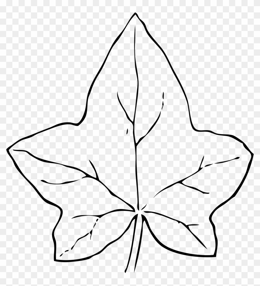 Ivy Leaf Clip Art - Leaf Clip Art #26744