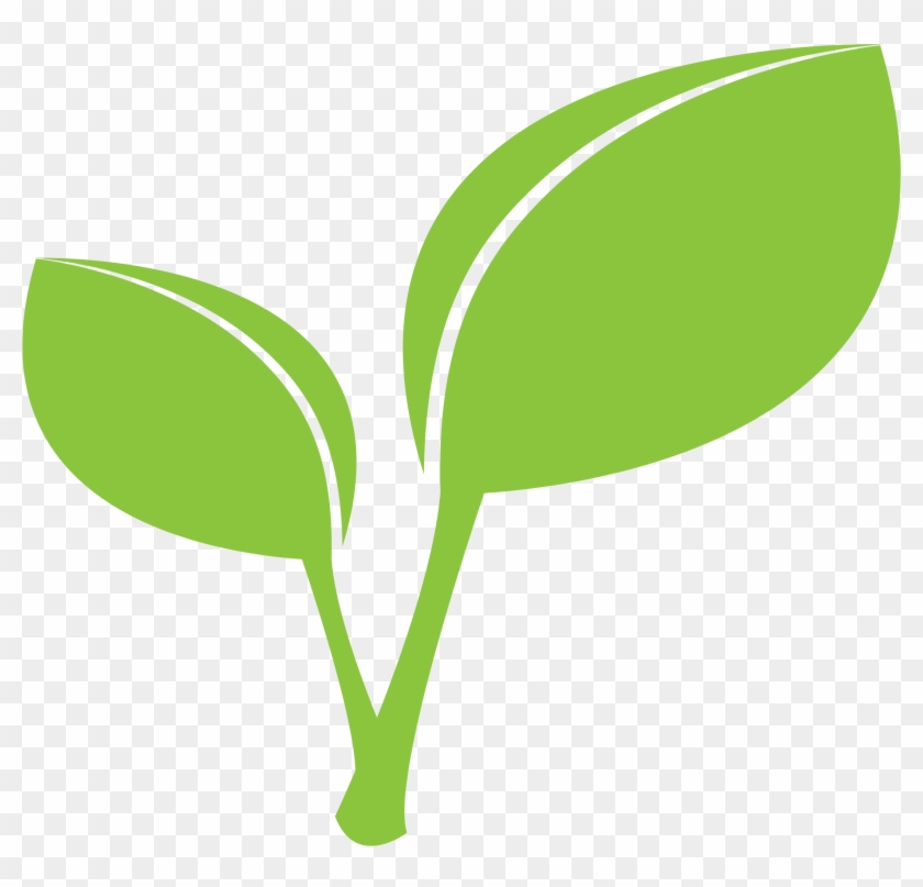 single green leaves clipart