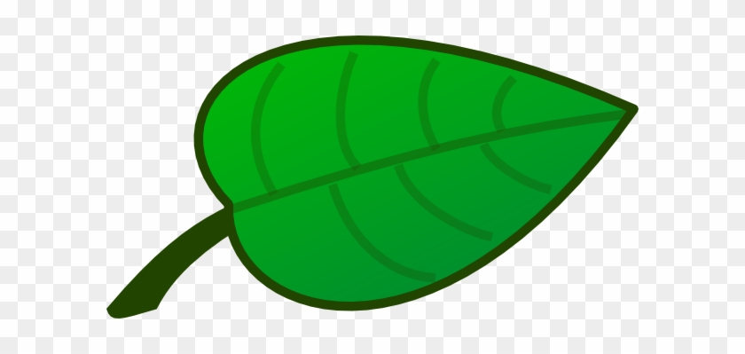 Flower Leaf Clip Art - Cartoon Pictures Of Leaf - Free Transparent PNG Clipart Images Download Flower Leaf Clip Art - Cartoon Pictures Of Leaf - Free Transparent PNG Clipart Images Download