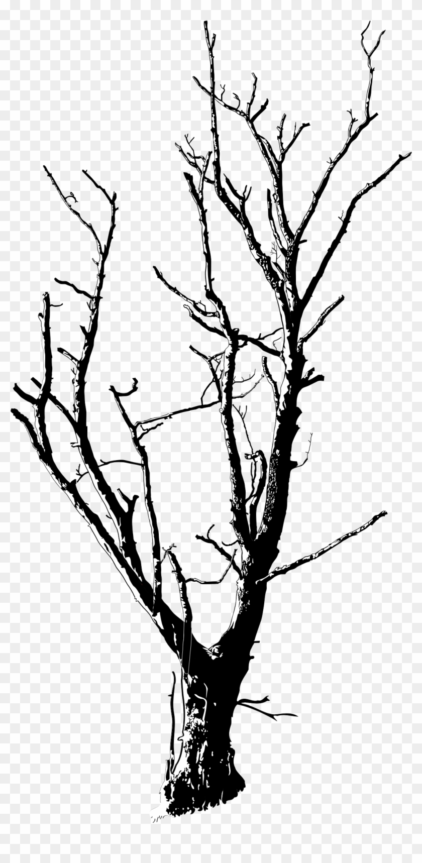 Drawn Dead Tree Dead Flower - Dead Tree Black And White #26958