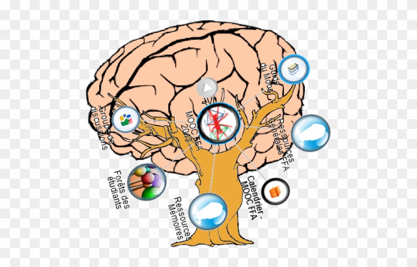 Public Domain Clipart The Brain #164061