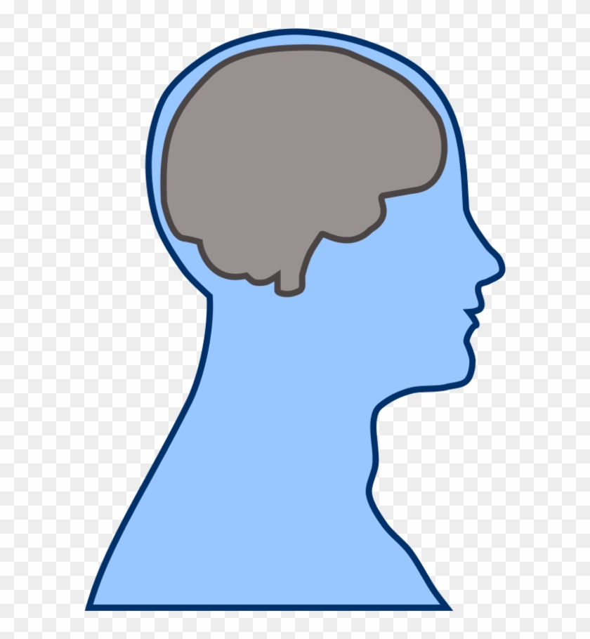 Brain Human Man - Blue Brain Clip Art #164371
