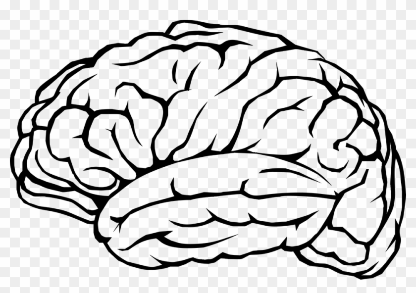 Brain, Mind, Thinking, A, I, Ai, Anatomy - Brain Line Art #164397