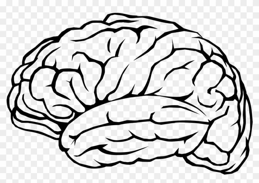 Brain Profile Line Art - Dementia And The Brain #164711