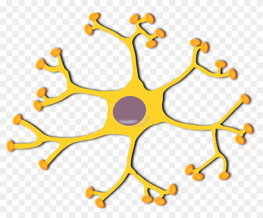 Medium Image - Neurona Clipart #164752