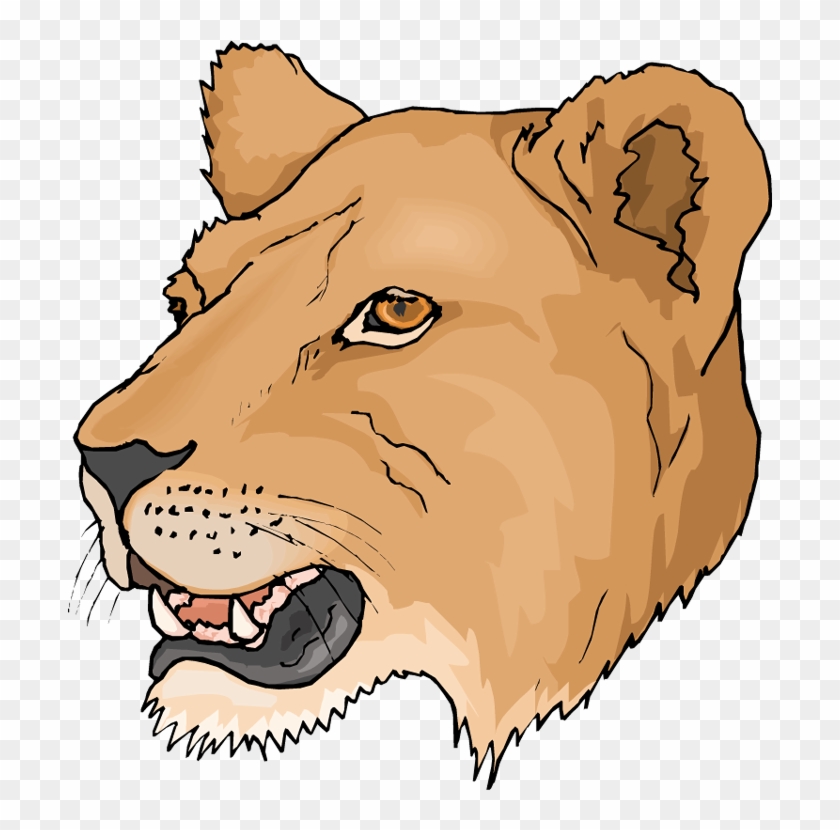 Free Head Lioness Clipart - Female Lion Head Clipart #164776