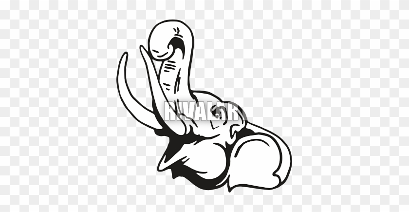 Elephant Face Clip Art Clipart Panda - Elephant Face Line Drawing #164802