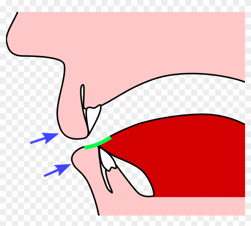 Raise Lips Clipart - Drawing #165002