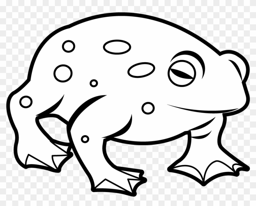 Animals Amphibians Toad - Toad Clip Art Black And White #165527
