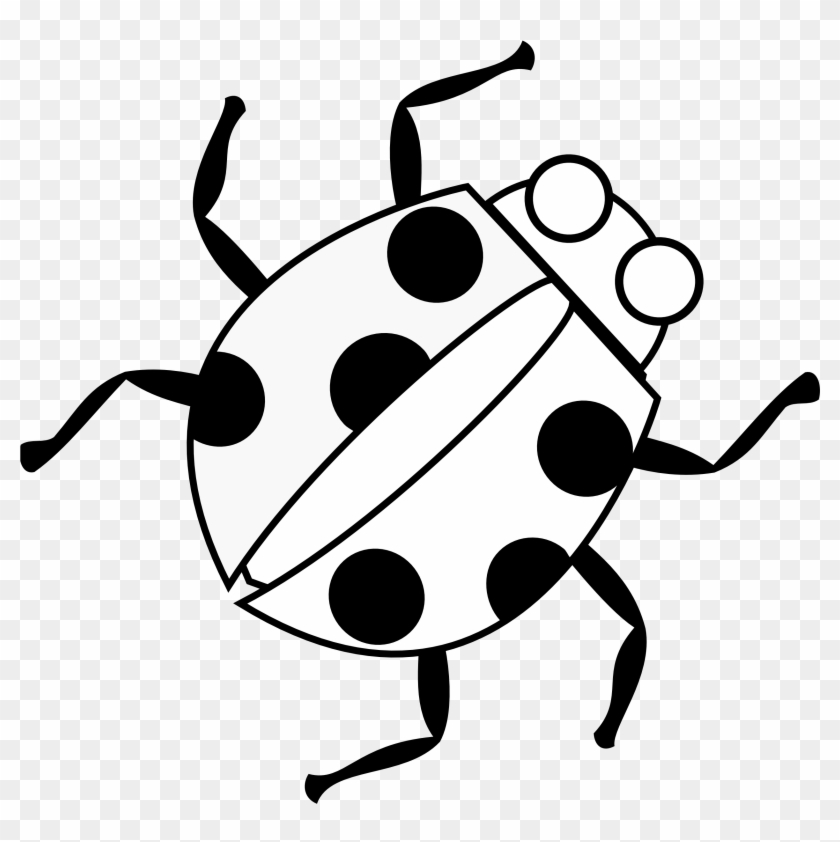 Lady - Bug - Drawing - Line Drawing Images Of Lady Bug #166446