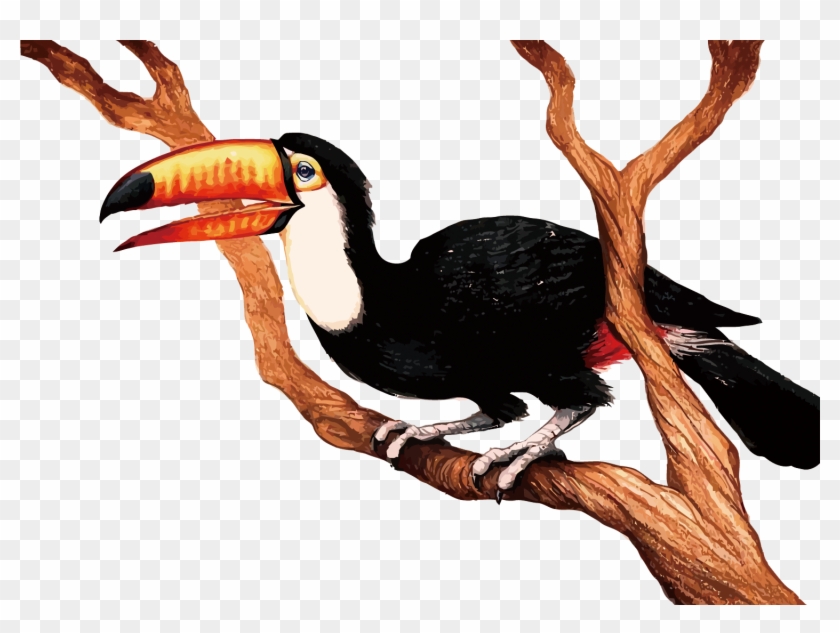 Bird Cartoon Clip Art - Bird #166508