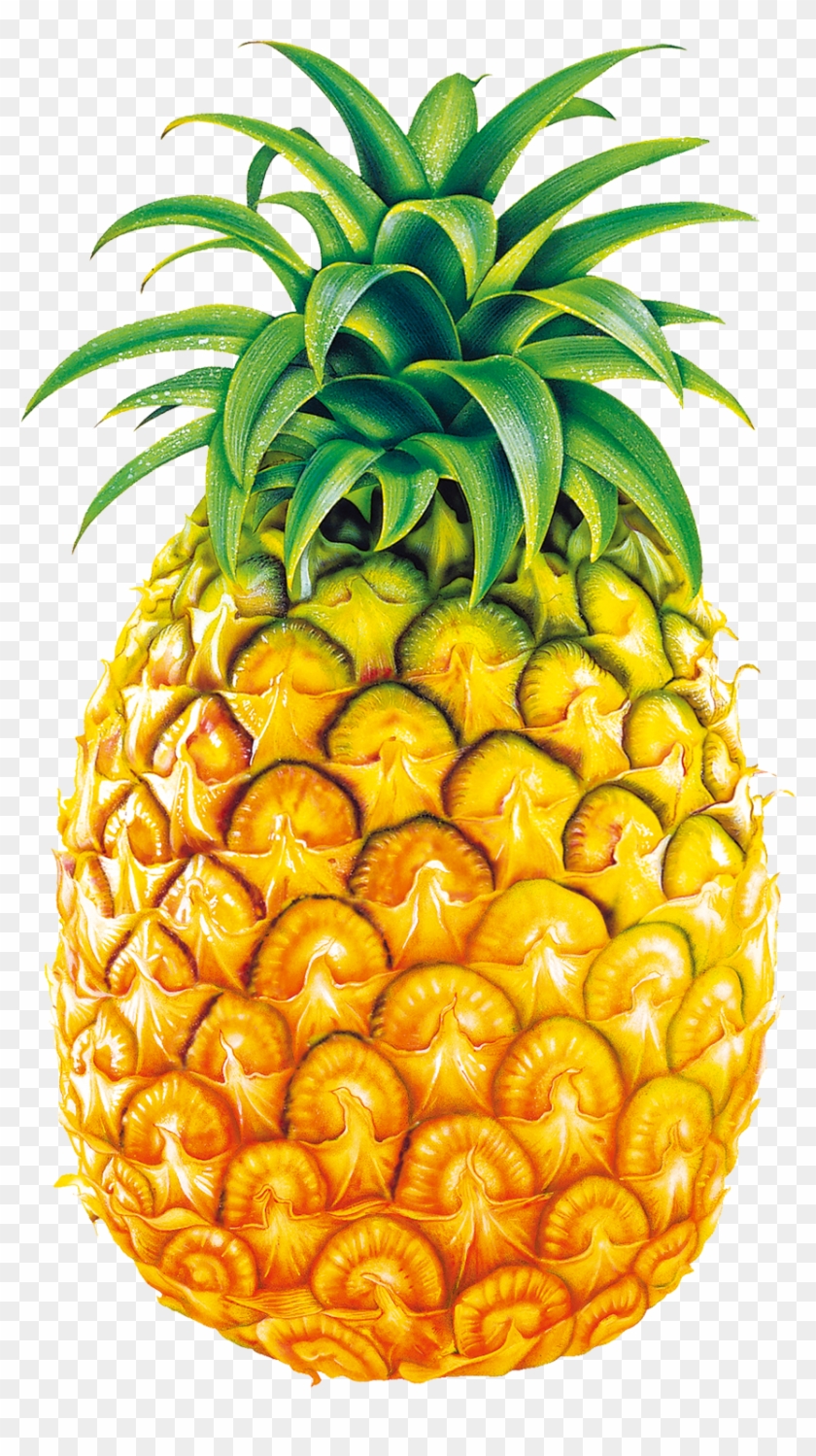 Pineapple Juice Fruit Bromelain Clip Art - Legend Of Pineapple Short Story #166566