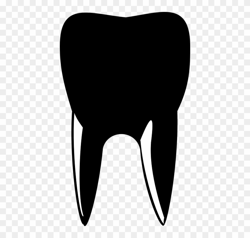 Tooth Dentist Silhouette Doctor Mouth Medicine - Diş Vektörel Png #166627