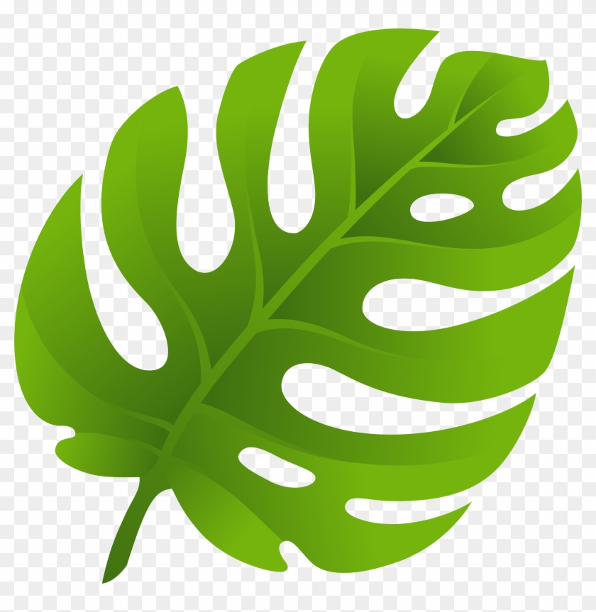 Exotic Leaf Png Clip Art - Leaf Clipart Png #167442