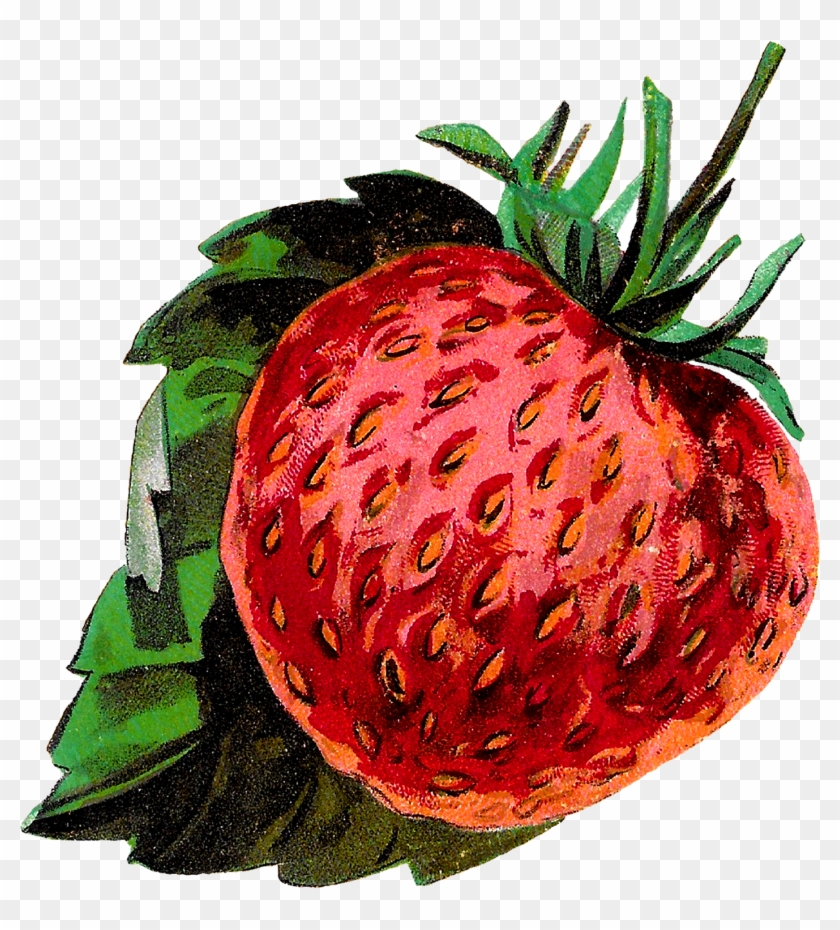 Digital Strawberry Clip Art Downloads - Illustration #167661