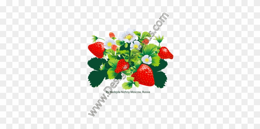 006- Free Vector Strawberry Graphic Flower Blossoms - Strawberry Bushes Clipsrt #167702