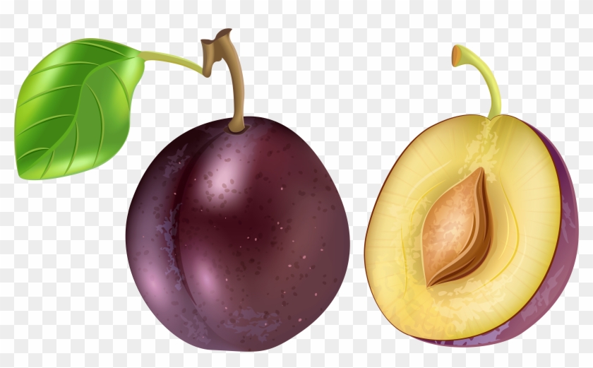 0, - Plum Clipart Png #167782