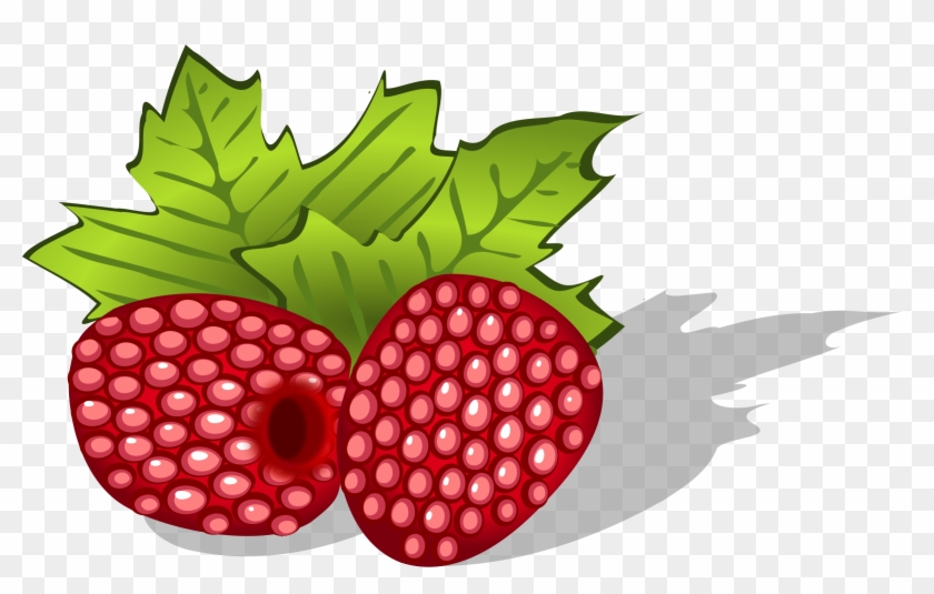 Get Notified Of Exclusive Freebies - Raspberries Clipart #168126