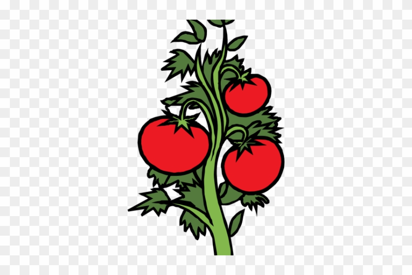 Garden - Vegetable Garden Clip Art #168132