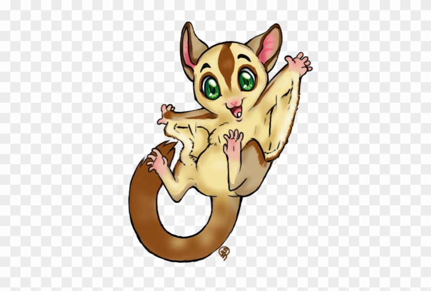 Glidergossip - Sugar Glider Clip Art Free #168456